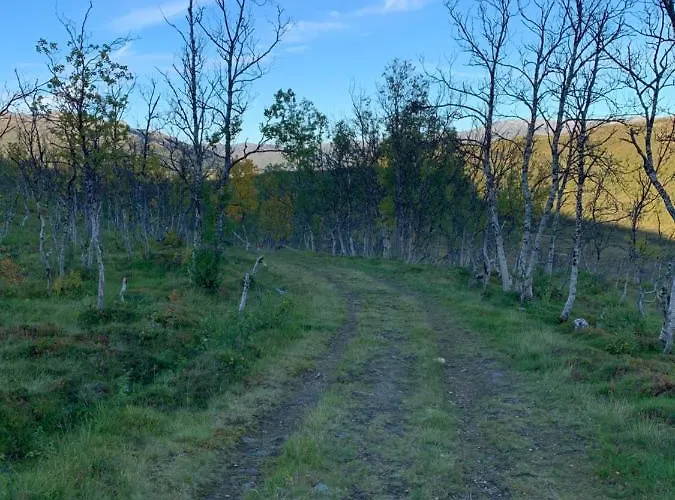 Kvaloya By The Sea Apartment *